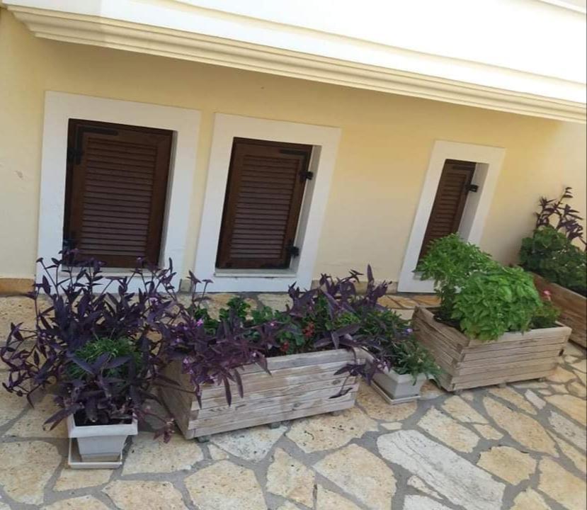 Villa Karolina Tsogkas Sívota Екстериор снимка